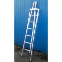Clow Aluminium Pointer Window Cleaners Ladder