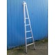 Aluminium Pointer Window Cleaners Ladder single section against fence