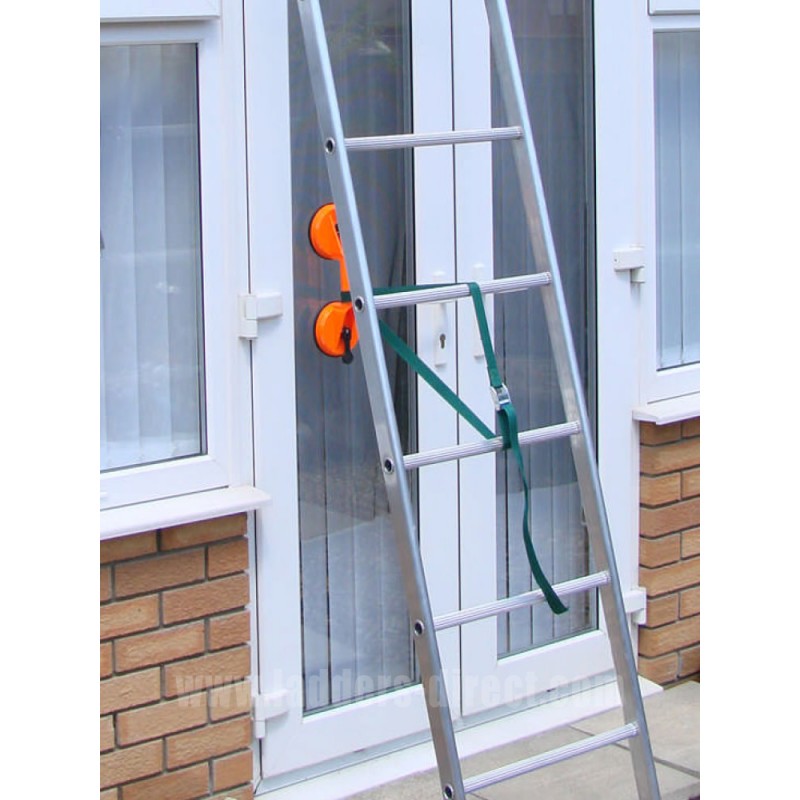 Conservatory Access Ladder